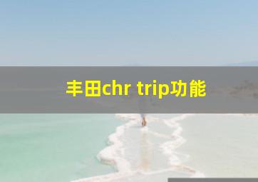 丰田chr trip功能